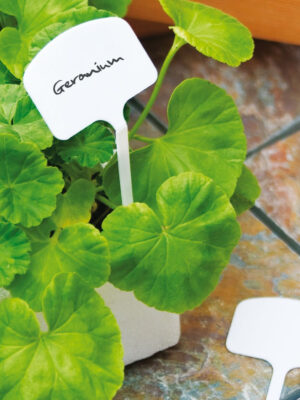 The Good Life Plant T Labels 10-Pack