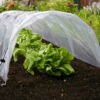 Haxnicks Easy Poly Tunnel 3m x 45cm