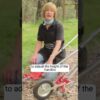Glaser Standard Wheel Hoe